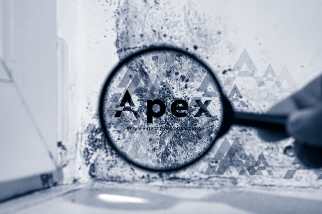 Apex Désamiantage et décontamination